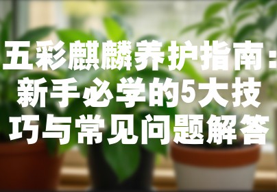 五彩麒麟养护指南：新手必学的5大技巧与常见问题解答