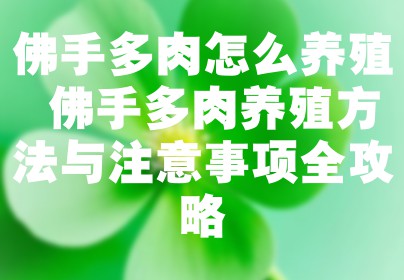 佛手多肉怎么养殖 佛手多肉养殖方法与注意事项全攻略