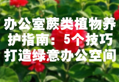 办公室蕨类植物养护指南：5个技巧打造绿意办公空间