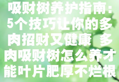 吸财树养护指南：5个技巧让你的多肉招财又健康 多肉吸财树怎么养才能叶片肥厚不烂根