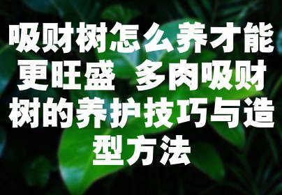 吸财树怎么养才能更旺盛 多肉吸财树的养护技巧与造型方法