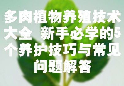 多肉植物养殖技术大全 新手必学的5个养护技巧与常见问题解答