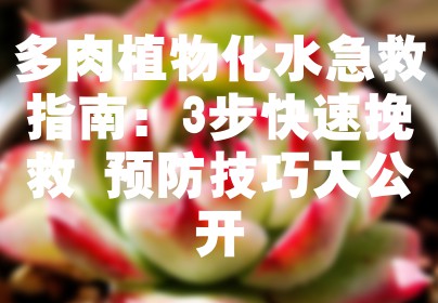 多肉植物化水急救指南：3步快速挽救+预防技巧大公开
