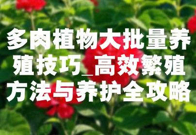 多肉植物大批量养殖技巧_高效繁殖方法与养护全攻略
