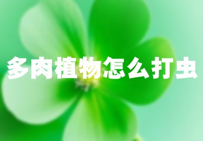 多肉植物怎么打虫