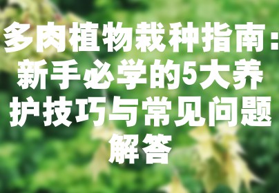 多肉植物栽种指南：新手必学的5大养护技巧与常见问题解答