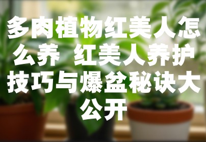 多肉植物红美人怎么养 红美人养护技巧与爆盆秘诀大公开