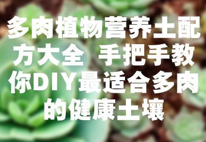 多肉植物营养土配方大全 手把手教你DIY最适合多肉的健康土壤