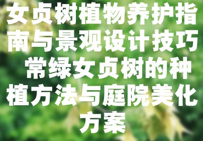 女贞树植物养护指南与景观设计技巧 常绿女贞树的种植方法与庭院美化方案
