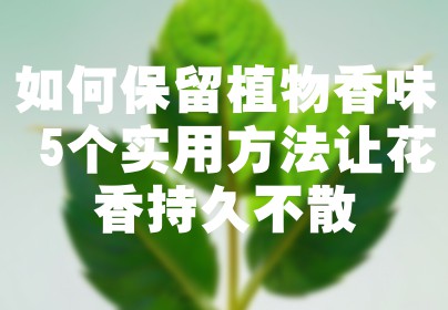 如何保留植物香味 5个实用方法让花香持久不散