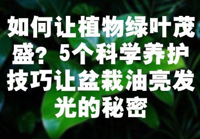 如何让植物绿叶茂盛？5个科学养护技巧让盆栽油亮发光的秘密