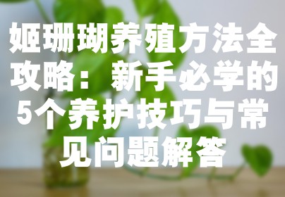 姬珊瑚养殖方法全攻略：新手必学的5个养护技巧与常见问题解答