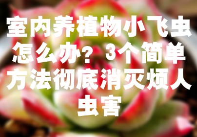 室内养植物小飞虫怎么办？3个简单方法彻底消灭烦人虫害