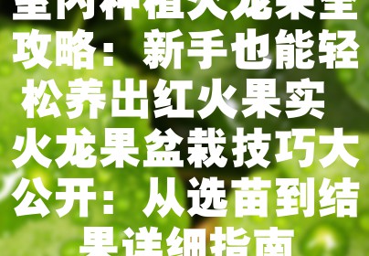 室内种植火龙果全攻略：新手也能轻松养出红火果实 火龙果盆栽技巧大公开：从选苗到结果详细指南