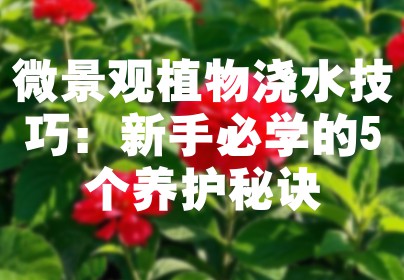 微景观植物浇水技巧：新手必学的5个养护秘诀