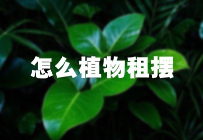 怎么植物租摆