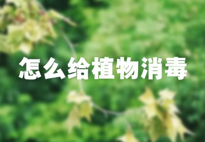 怎么给植物消毒