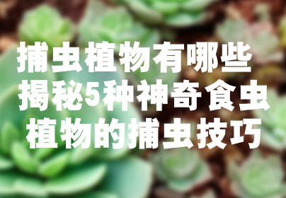 捕虫植物有哪些 揭秘5种神奇食虫植物的捕虫技巧