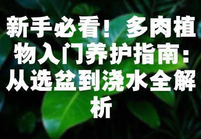 新手必看！多肉植物入门养护指南：从选盆到浇水全解析