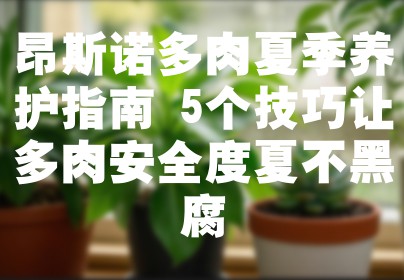 昂斯诺多肉夏季养护指南 5个技巧让多肉安全度夏不黑腐