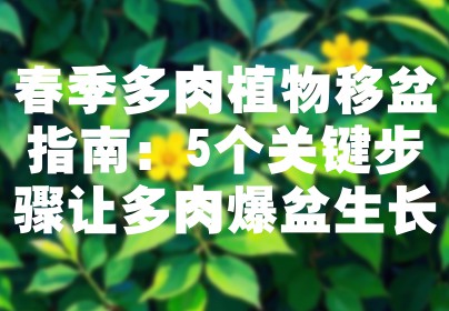 春季多肉植物移盆指南：5个关键步骤让多肉爆盆生长