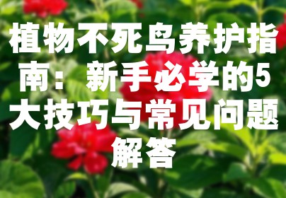 植物不死鸟养护指南：新手必学的5大技巧与常见问题解答