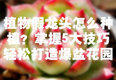 植物假龙头怎么种植？掌握5大技巧轻松打造爆盆花园