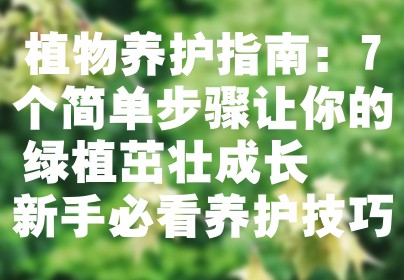 植物养护指南：7个简单步骤让你的绿植茁壮成长 + 新手必看养护技巧