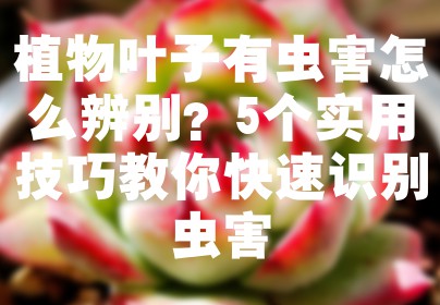 植物叶子有虫害怎么辨别？5个实用技巧教你快速识别虫害