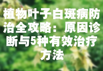 植物叶子白斑病防治全攻略：原因诊断与5种有效治疗方法