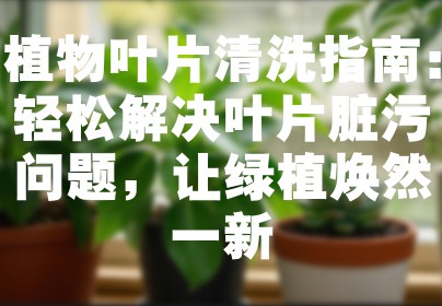植物叶片清洗指南：轻松解决叶片脏污问题，让绿植焕然一新