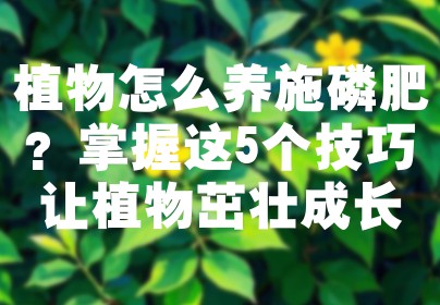 植物怎么养施磷肥？掌握这5个技巧让植物茁壮成长