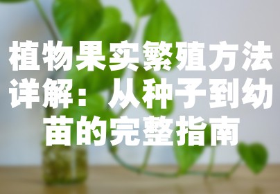 植物果实繁殖方法详解：从种子到幼苗的完整指南