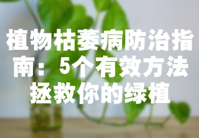 植物枯萎病防治指南：5个有效方法拯救你的绿植