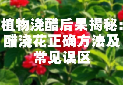 植物浇醋后果揭秘：醋浇花正确方法及常见误区