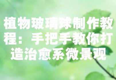 植物玻璃球制作教程：手把手教你打造治愈系微景观