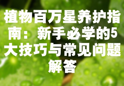 植物百万星养护指南：新手必学的5大技巧与常见问题解答