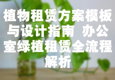 植物租赁方案模板与设计指南 办公室绿植租赁全流程解析