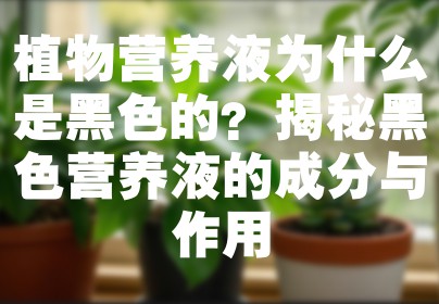 植物营养液为什么是黑色的？揭秘黑色营养液的成分与作用