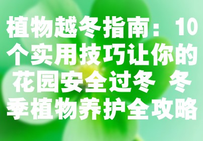 植物越冬指南：10个实用技巧让你的花园安全过冬+冬季植物养护全攻略