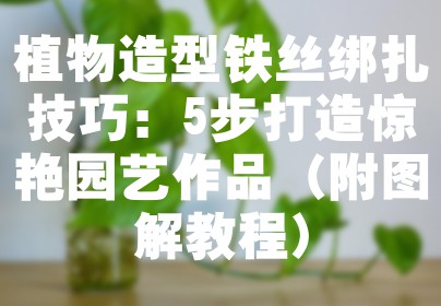 植物造型铁丝绑扎技巧：5步打造惊艳园艺作品（附图解教程）