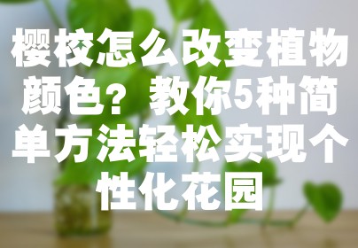 樱校怎么改变植物颜色？教你5种简单方法轻松实现个性化花园