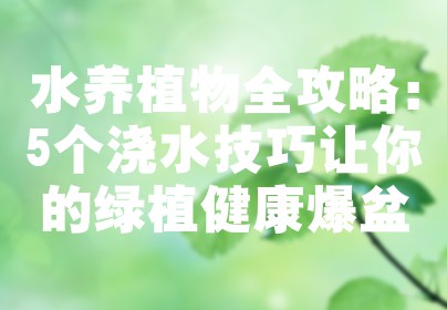 水养植物全攻略：5个浇水技巧让你的绿植健康爆盆