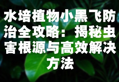 水培植物小黑飞防治全攻略：揭秘虫害根源与高效解决方法