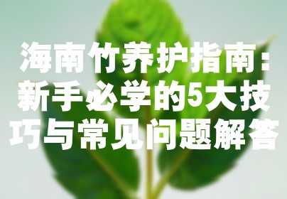海南竹养护指南：新手必学的5大技巧与常见问题解答
