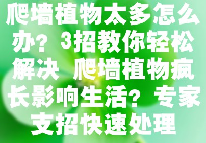 爬墙植物太多怎么办？3招教你轻松解决 爬墙植物疯长影响生活？专家支招快速处理