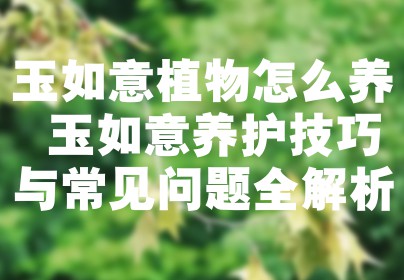 玉如意植物怎么养 玉如意养护技巧与常见问题全解析