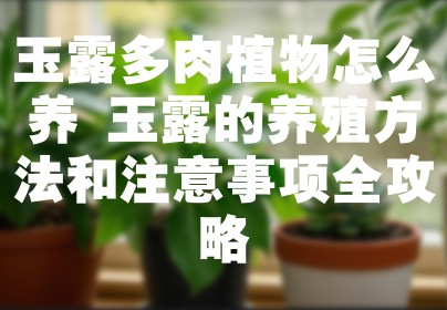玉露多肉植物怎么养 玉露的养殖方法和注意事项全攻略