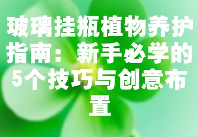 玻璃挂瓶植物养护指南：新手必学的5个技巧与创意布置