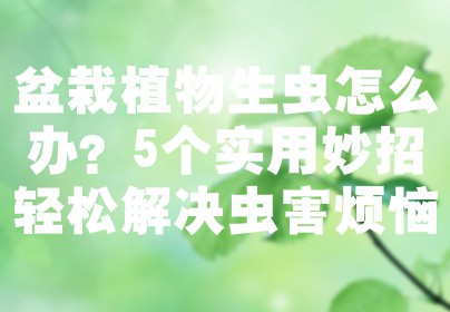 盆栽植物生虫怎么办？5个实用妙招轻松解决虫害烦恼